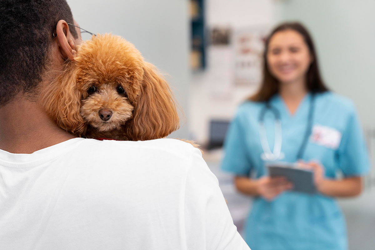 Dr. Vet Clínica Veterinária Rondonópolis