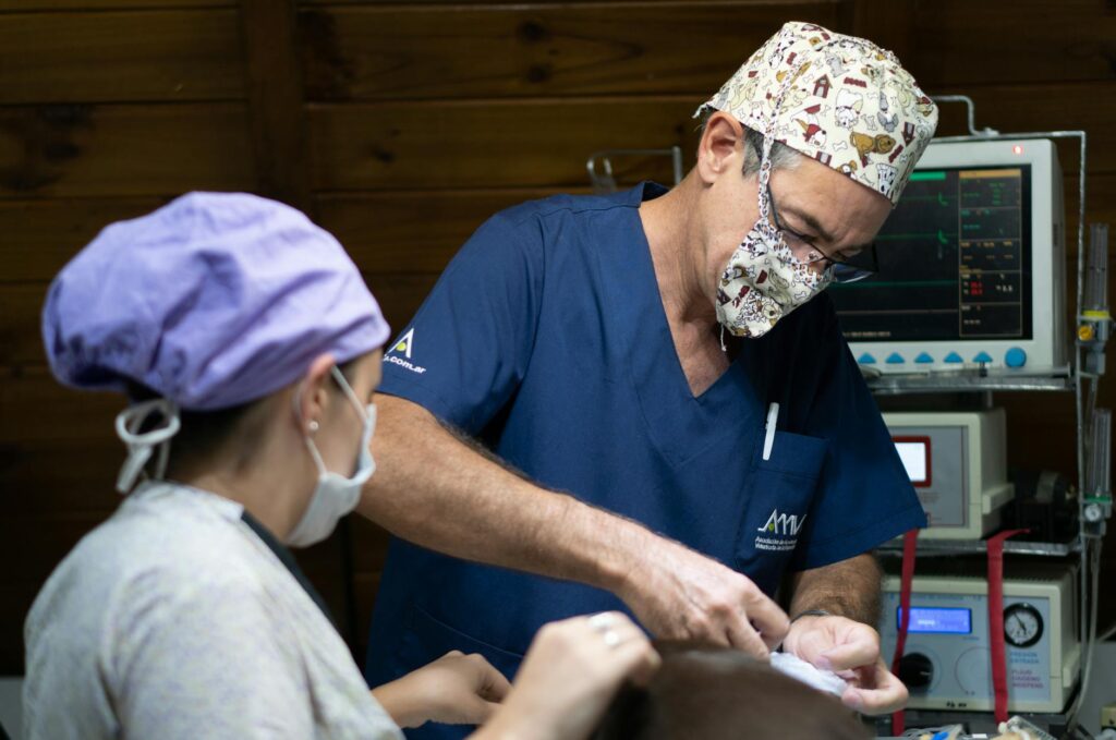 Cirurgia Pet em Rondonópolis: Especialista ou Clínico Geral?