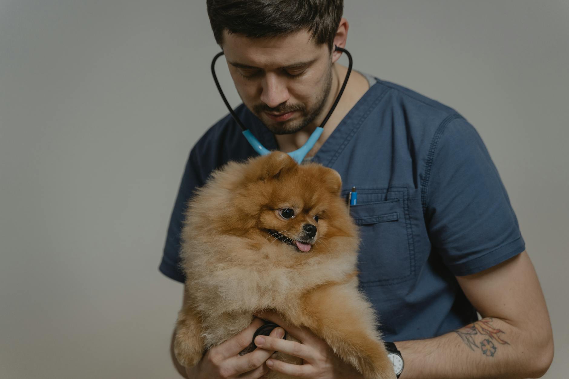 Doenças Silenciosas em Pets: Guia de Diagnóstico em Rondonópolis