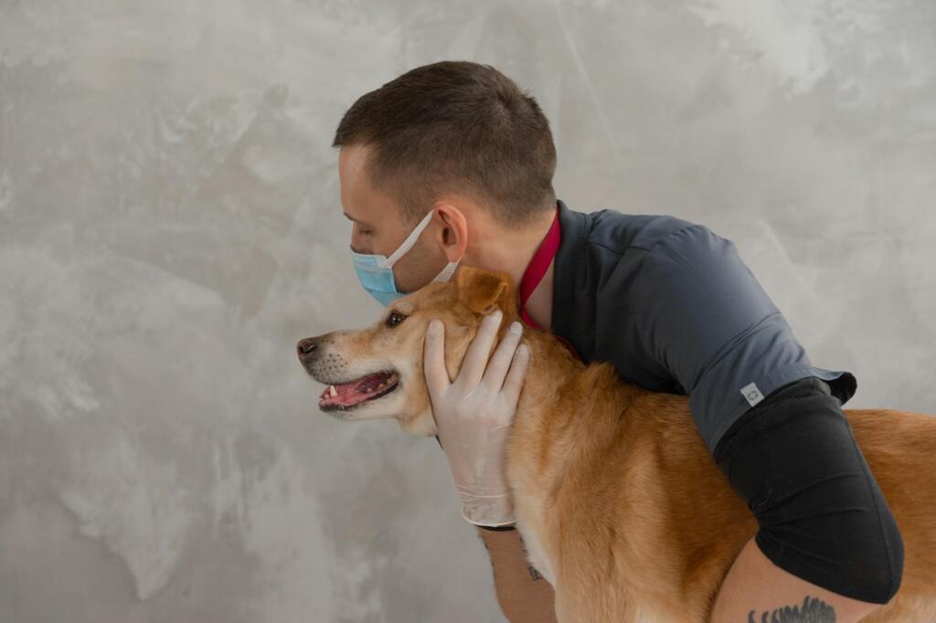 Medicina Veterinária de Precisão em Rondonópolis: Guia 2024